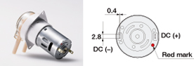 WPM 12VDC Compact Brush Motor Connection diagram