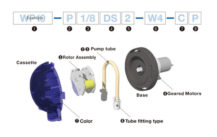 Example WP10 - P 1/8 DS 2 - W4 - CP